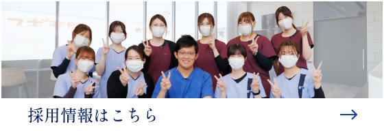 採用情報はこちら