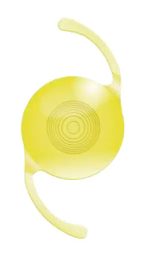 Vivinex Gemetric 外観